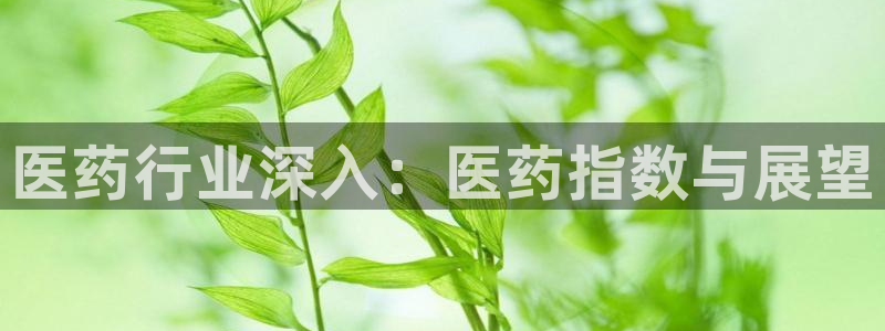 ag九游会登录网站